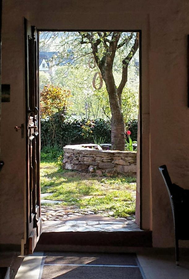 B&B Echternacher Hof Kinheim エクステリア 写真